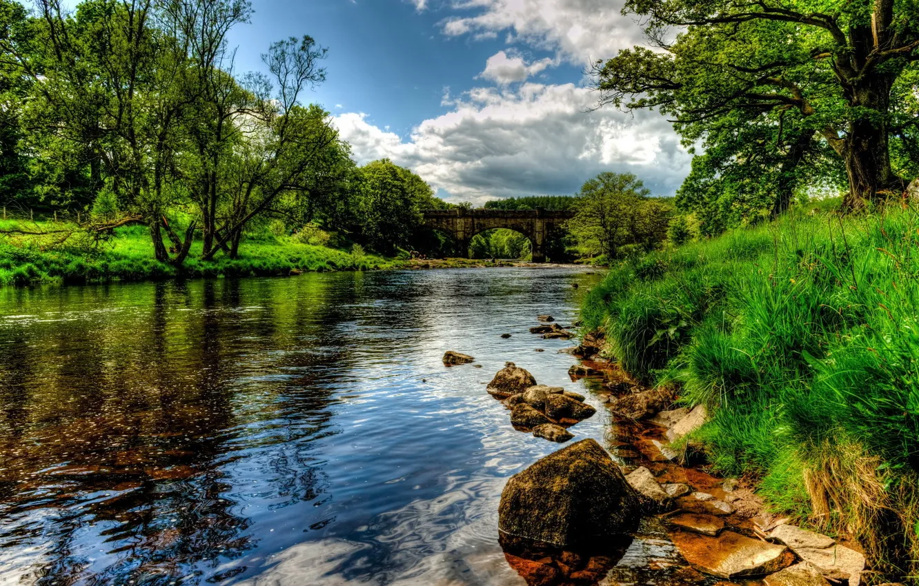 Photo wallpaper grass, clouds, trees, bridge, river, stones