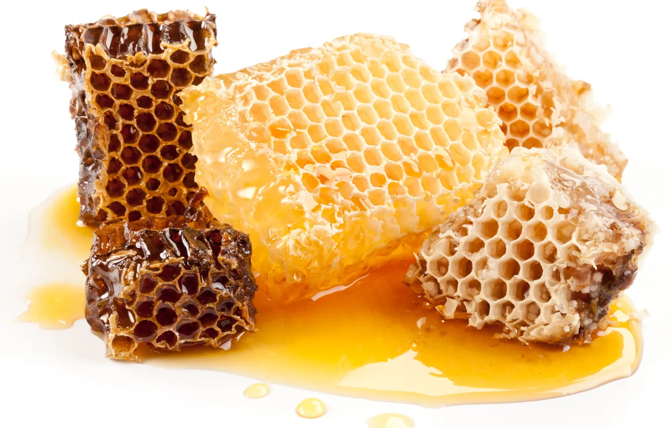 Photo wallpaper cell, honey, sweet