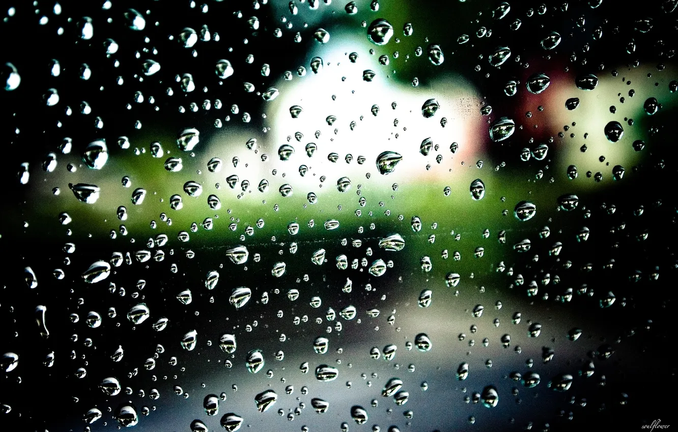 Photo wallpaper glass, drops, view