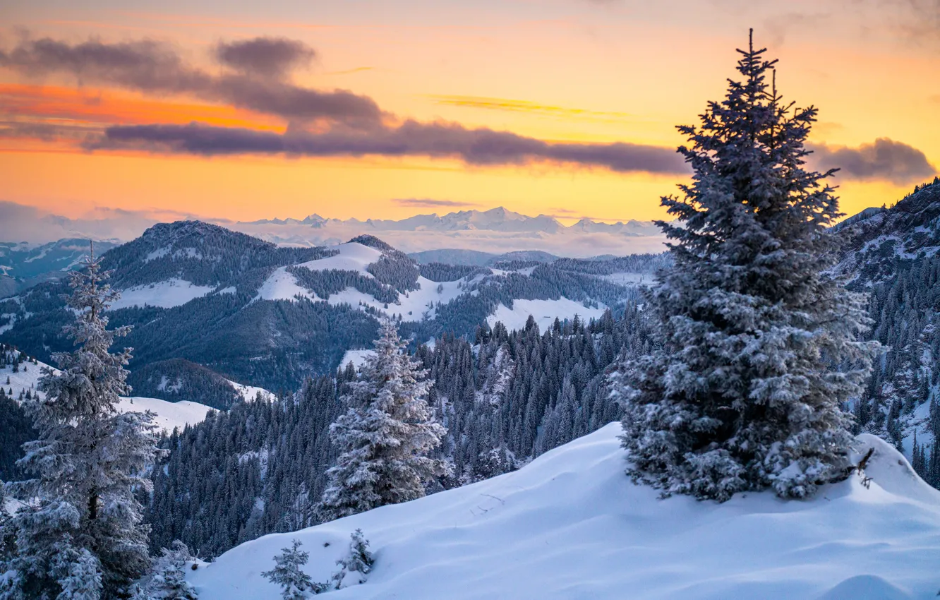 Photo wallpaper winter, forest, the sky, clouds, snow, trees, sunset, mountains