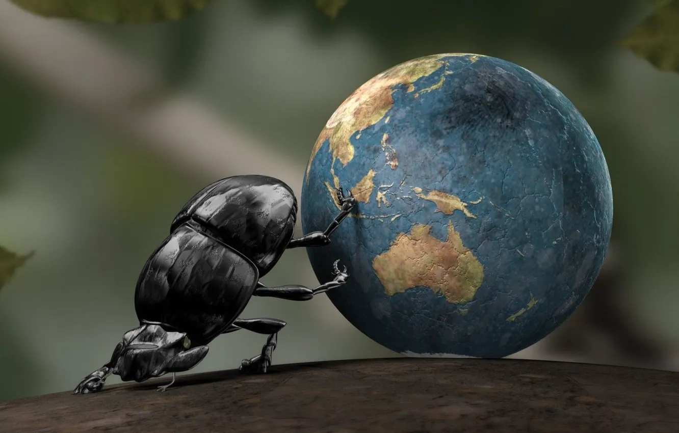 Photo wallpaper Earth, bird, insect, CGI, crabs, one animal, animal wildlife, Dung beetle