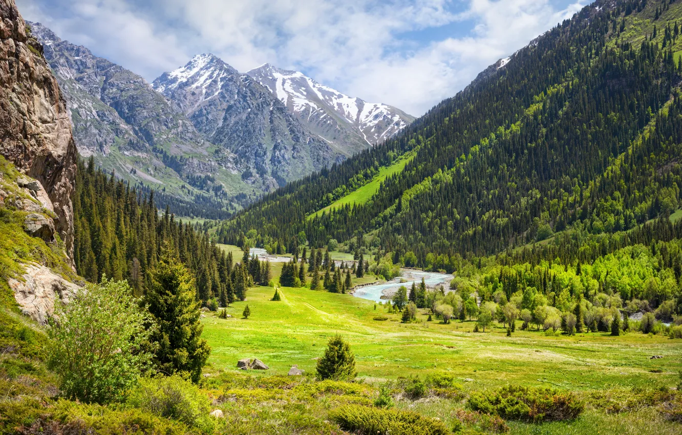 Photo wallpaper forest, clouds, mountains, river, stones, India