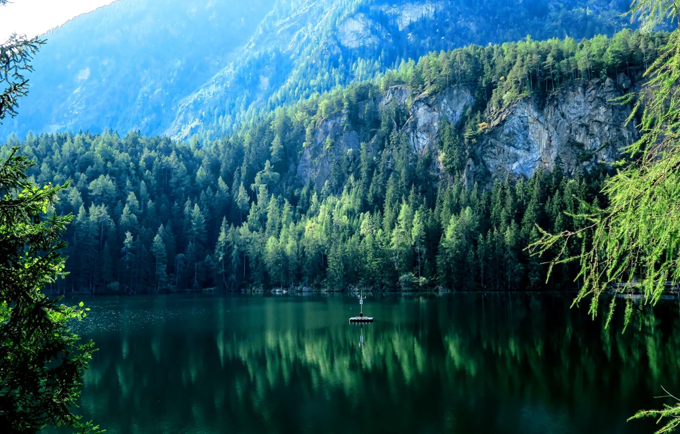 Photo wallpaper forest, trees, mountains, nature, lake, stones, rocks