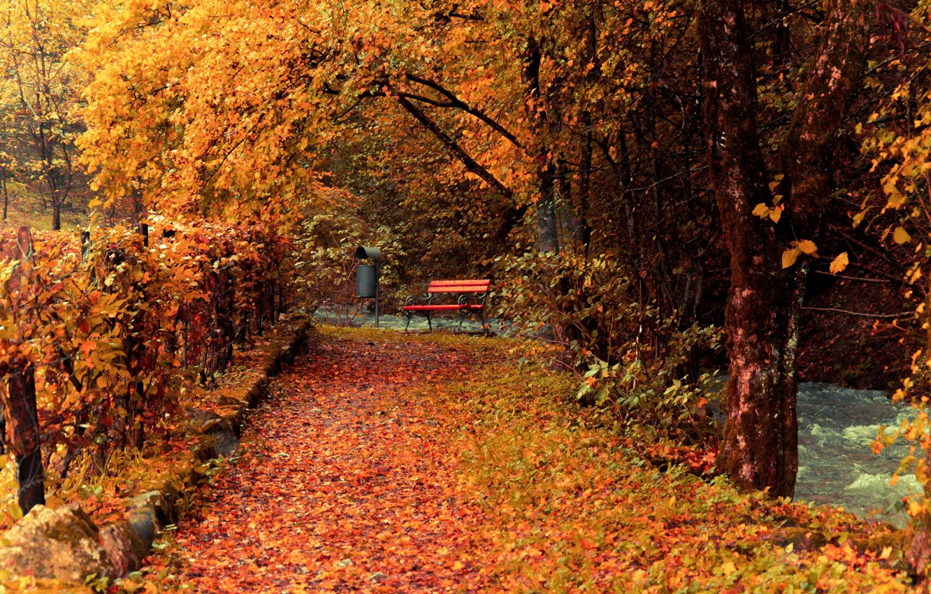 Photo wallpaper autumn, leaves, trees, bench, yellow, Park, stream, fence