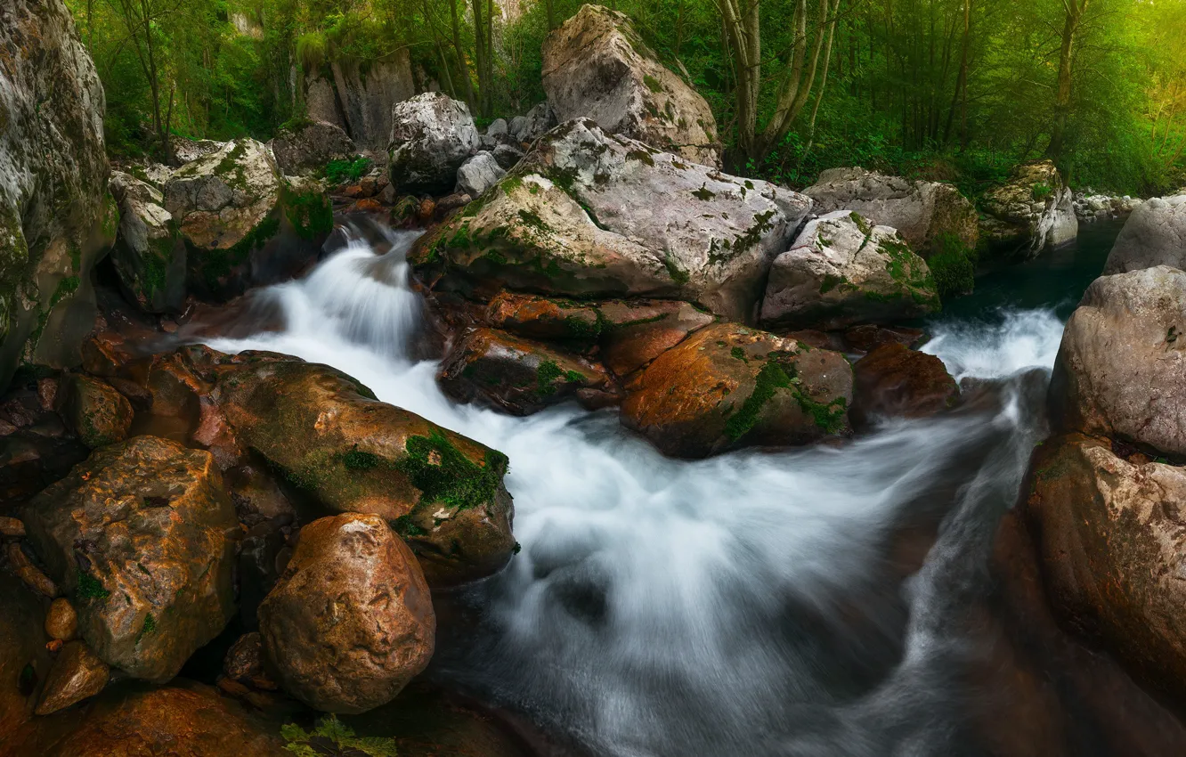 Photo wallpaper forest, nature, river, stones, waterfall, boulders