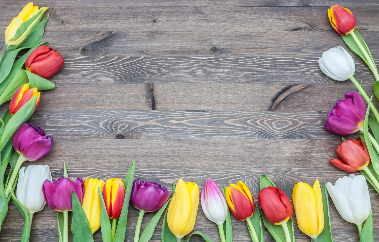 Photo wallpaper flowers, bouquet, colorful, tulips, love, pink, wood, pink
