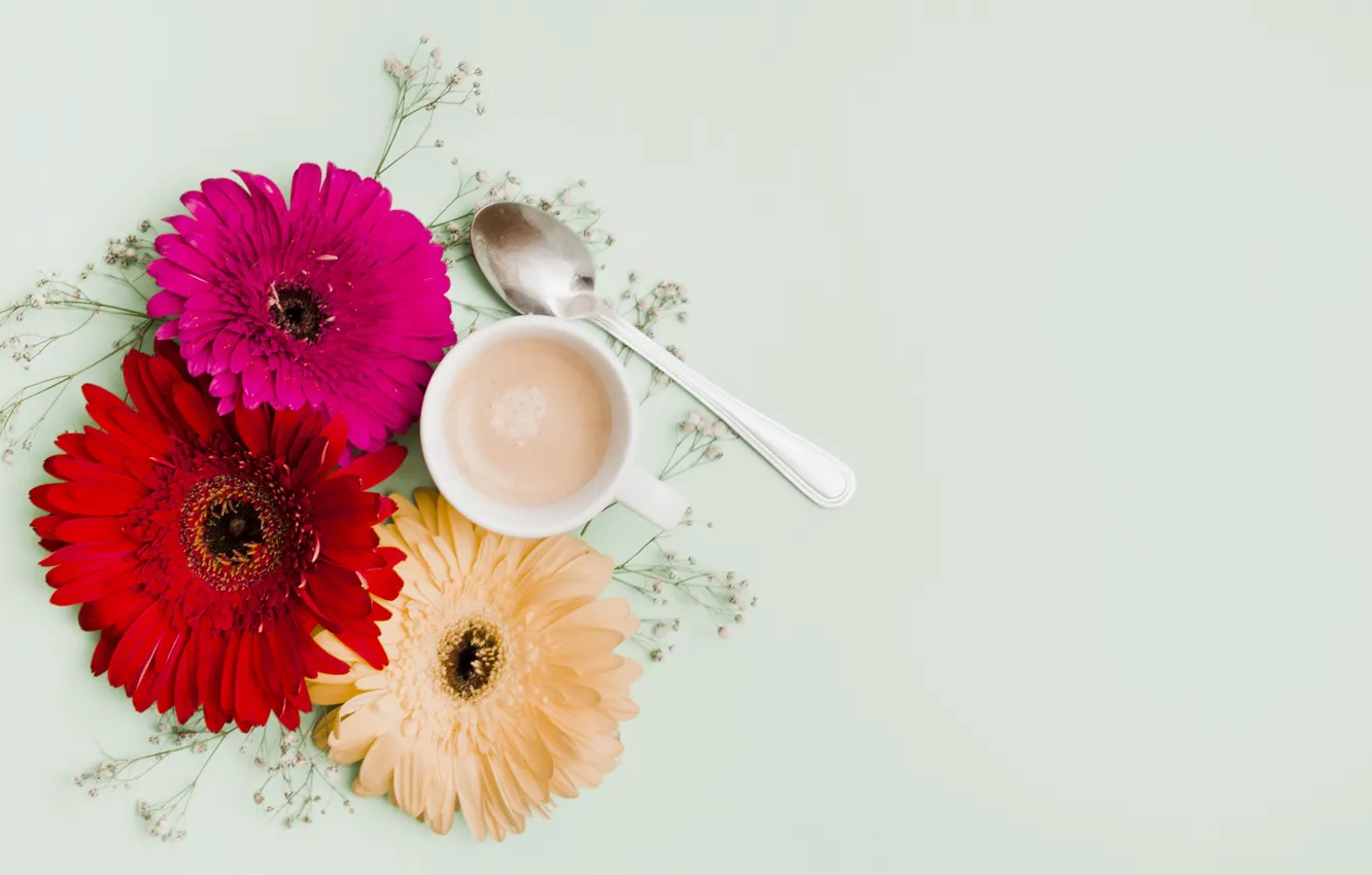 Photo wallpaper flowers, background, colorful, pink, gerbera, pink, flowers, coffee cup
