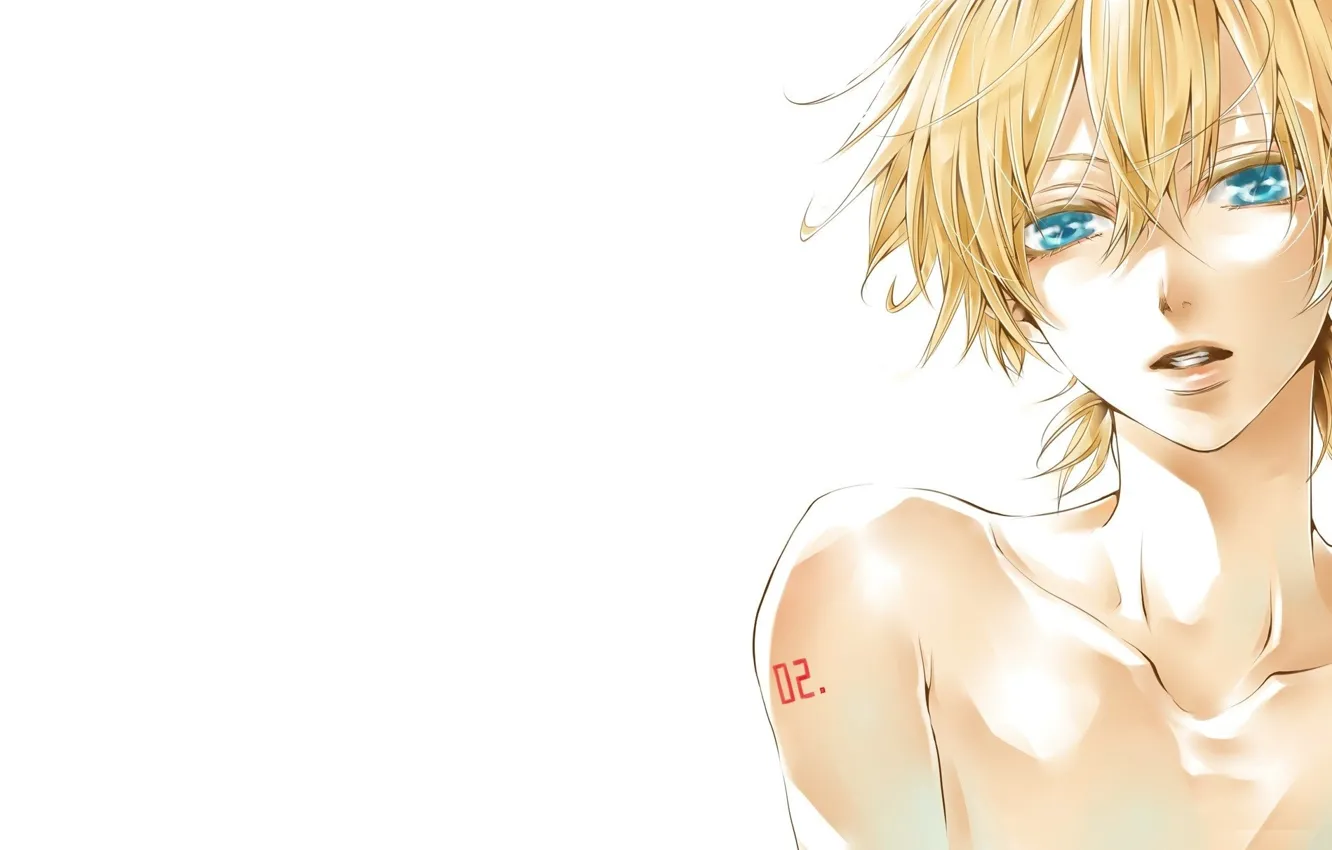 Photo wallpaper face, white background, blue eyes, vocaloid, shoulders, blonde, kagamine len