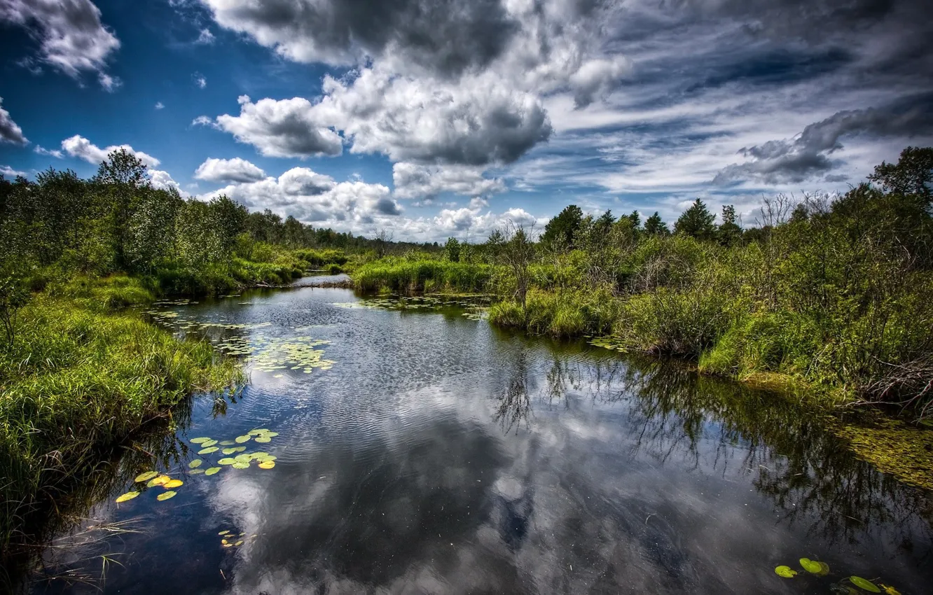 Photo wallpaper water, clouds, trees, swamp