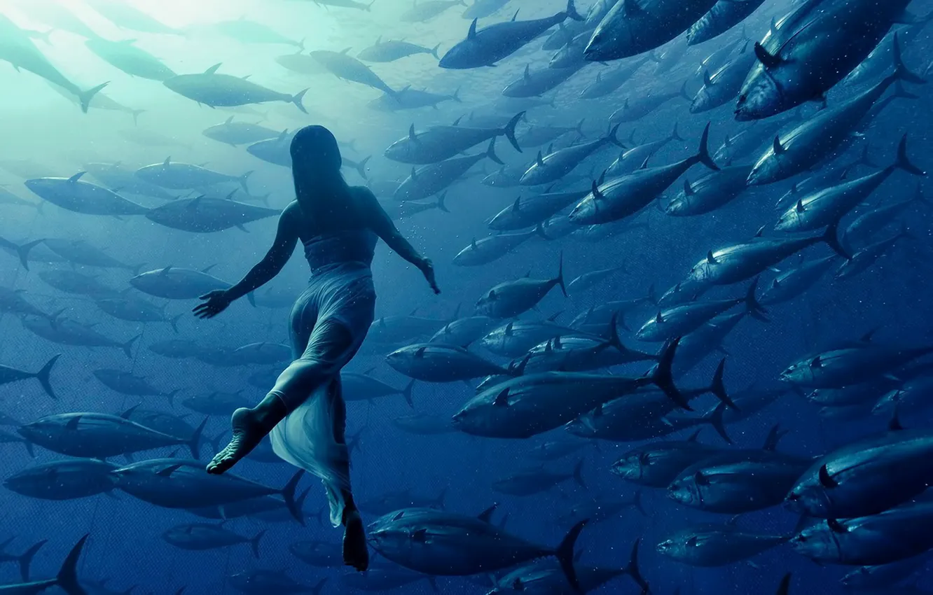Photo wallpaper water, girl, light, fish, depth, dress