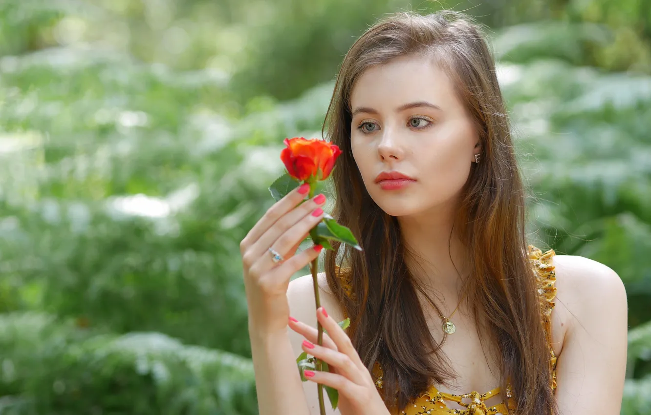 Photo wallpaper girl, roses, Erin