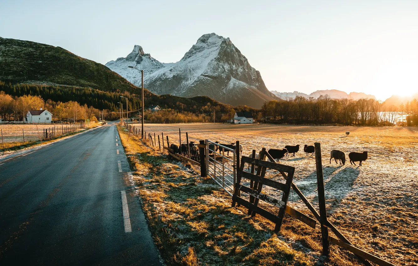 Photo wallpaper winter, road, field, autumn, forest, light, snow, sunset