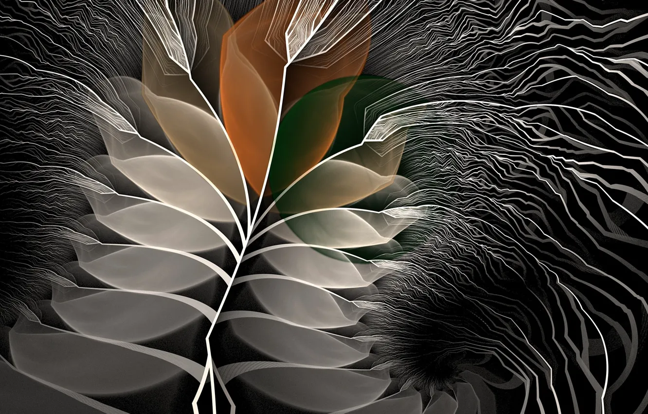 Photo wallpaper Leaves, Pattern, Thread