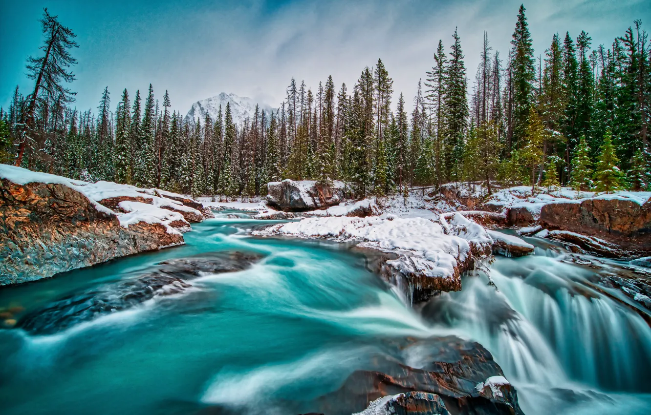 Photo wallpaper forest, snow, river, Canada, Canada, British Columbia, British Columbia, Kicking Horse River