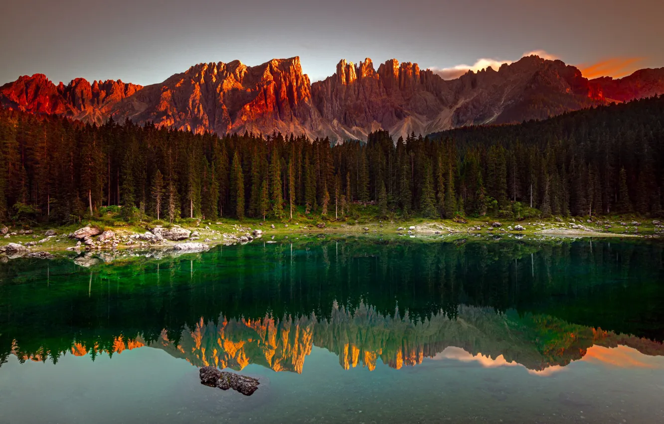 Photo wallpaper forest, mountains, lake, morning