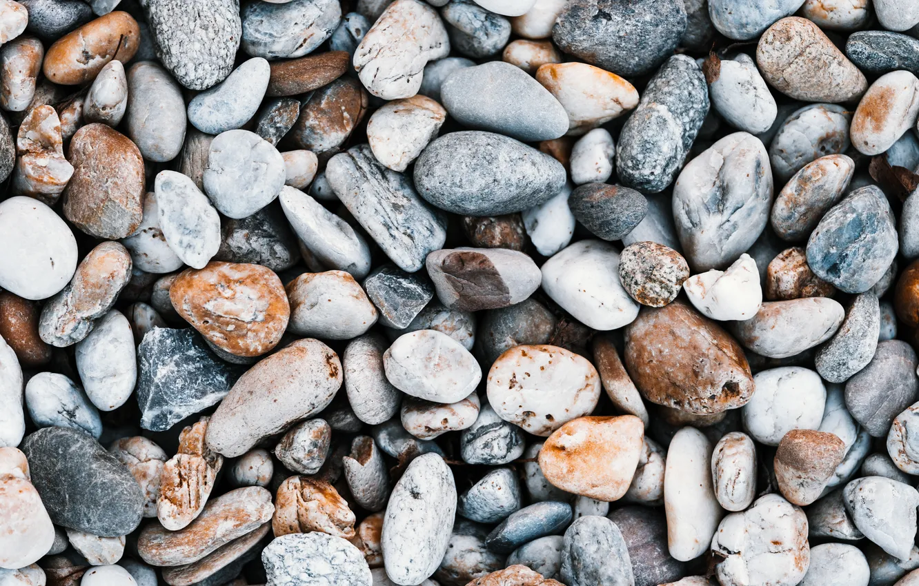 Photo wallpaper colors, beach, stones