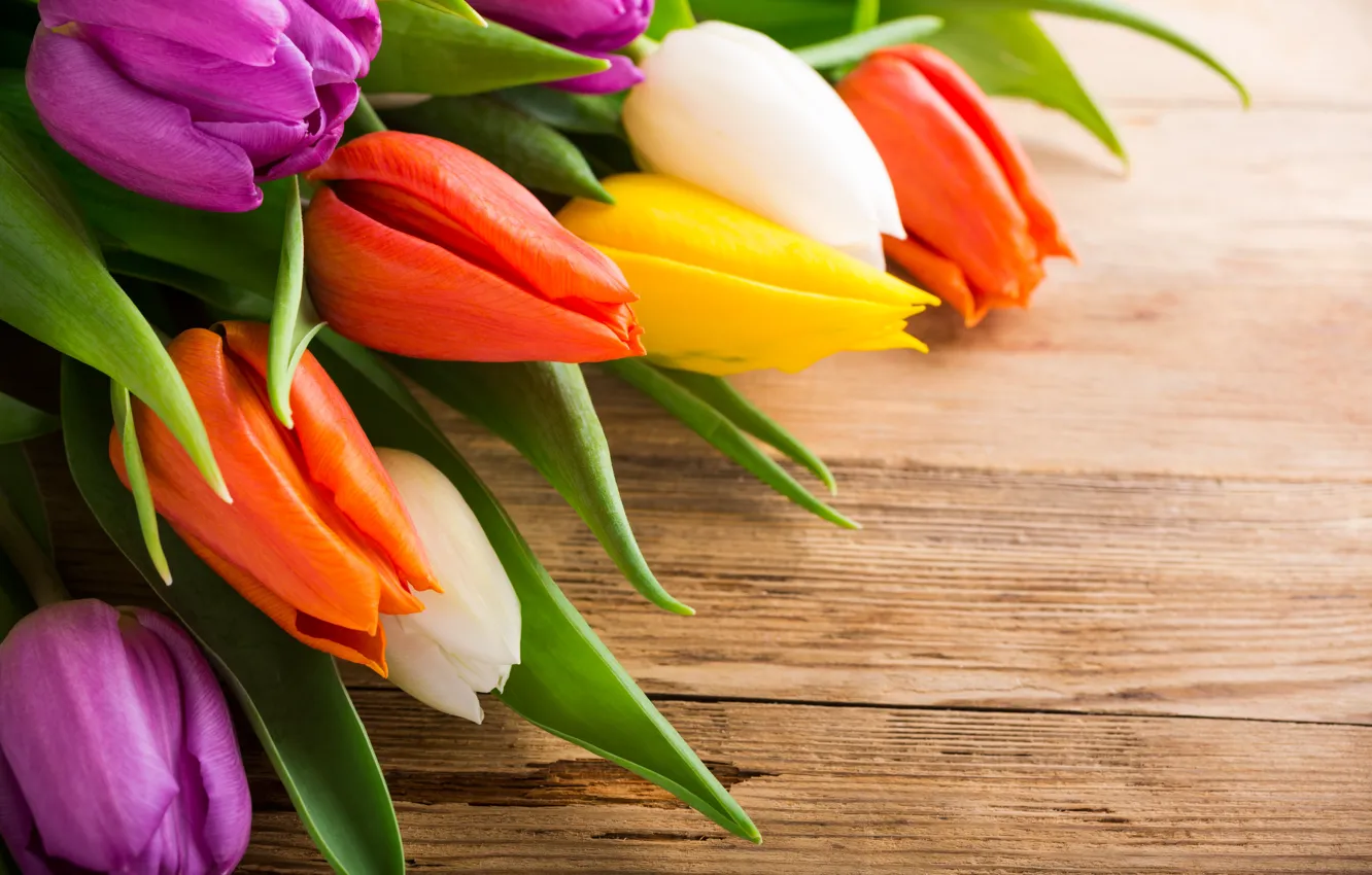 Photo wallpaper bouquet, tulips, wood, color