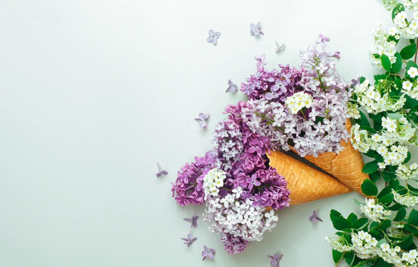Photo wallpaper flowers, spring, horn, flowering, blossom, flowers, lilac, spring