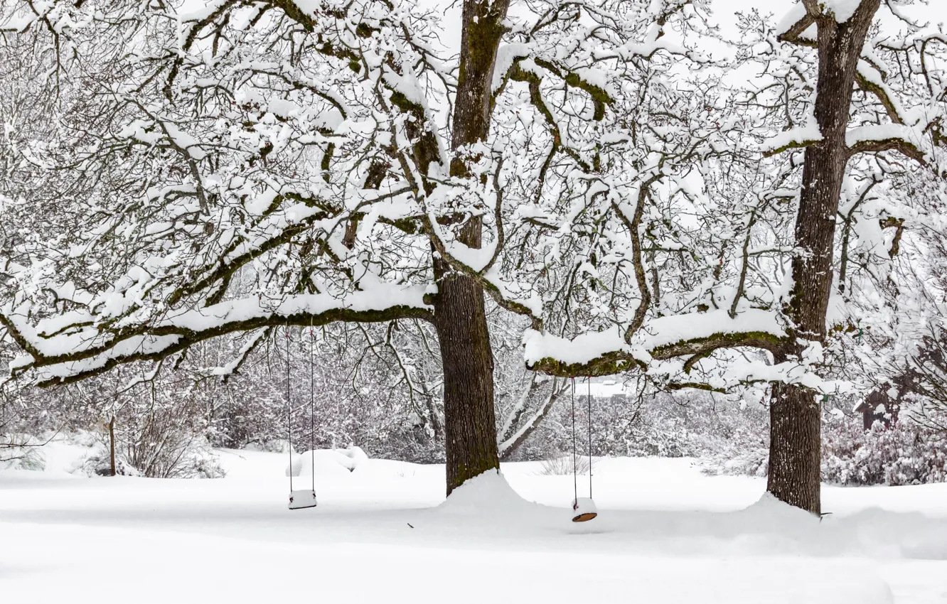 Photo wallpaper winter, snow, swing