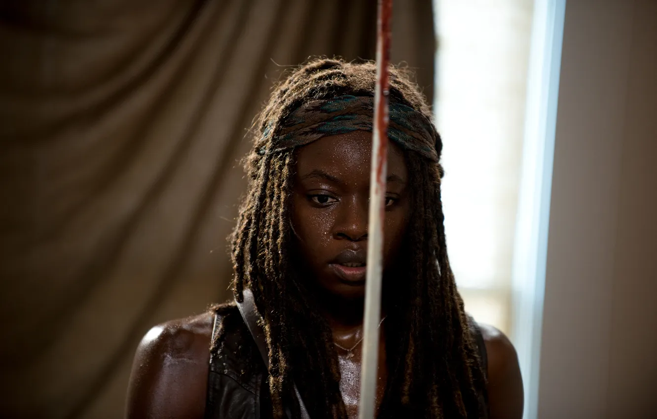 Photo wallpaper The Walking Dead, The walking dead, Michonne, Danai Gurira
