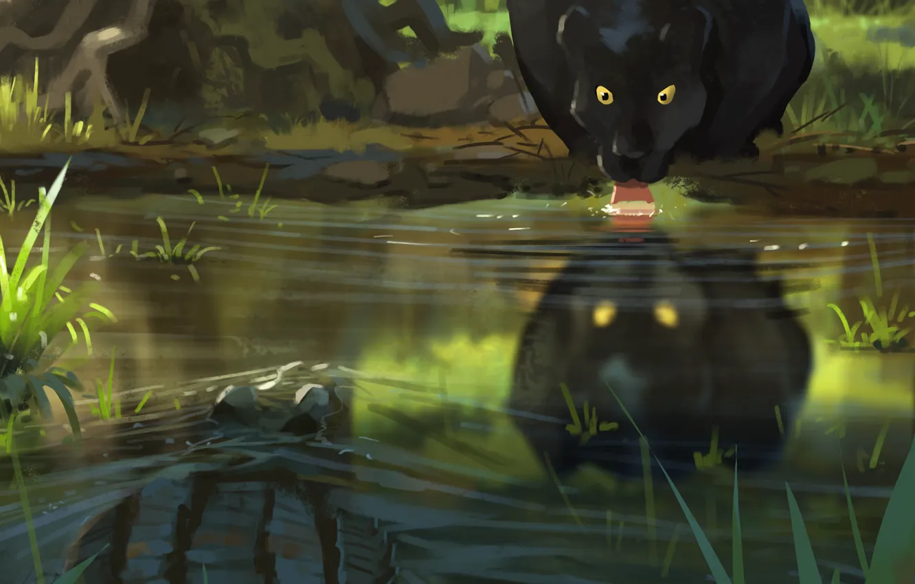 Photo wallpaper water, predator, Panther, drink, big cat