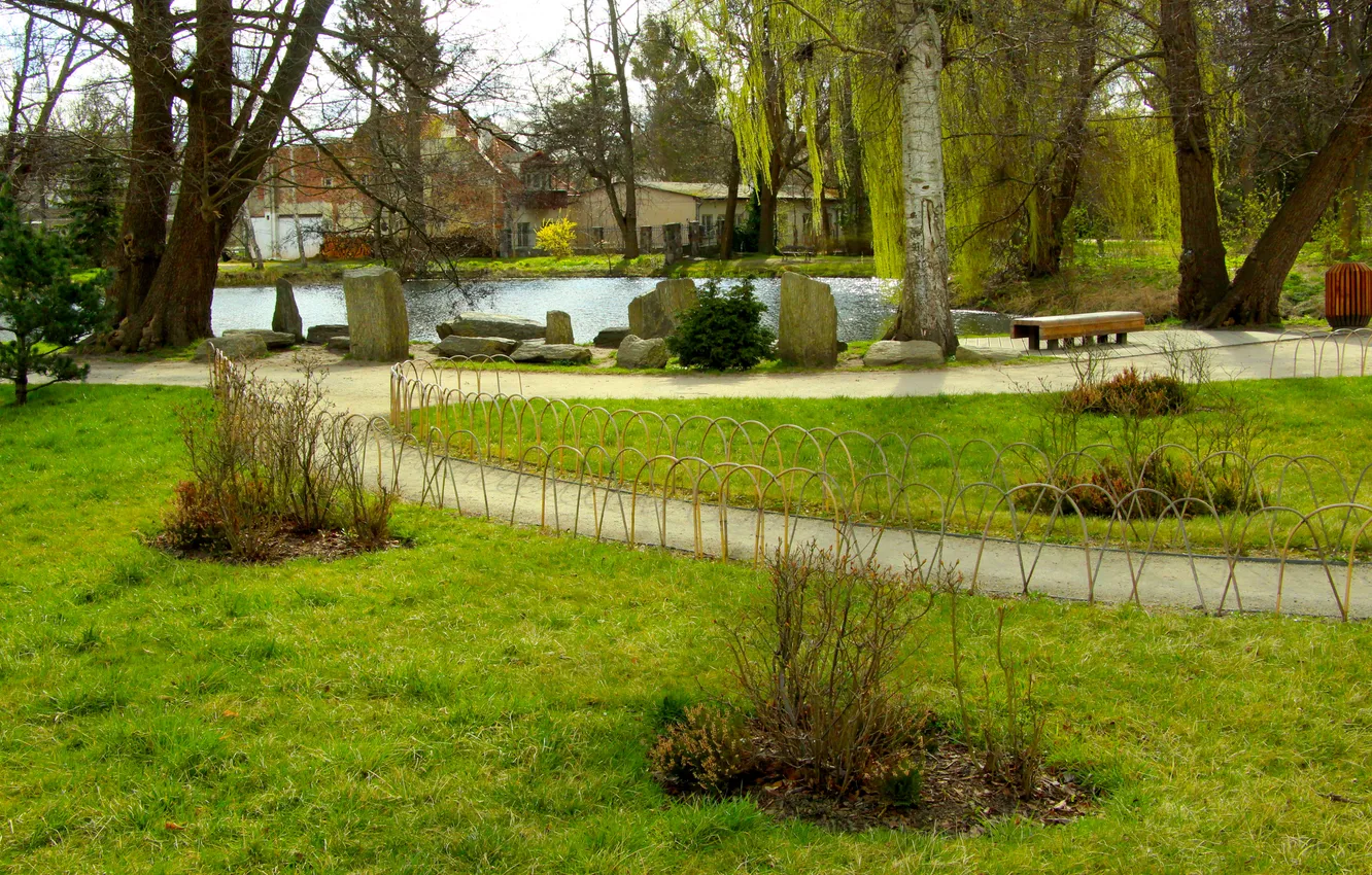 Photo wallpaper trees, park, alley