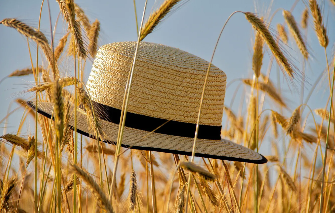 Photo wallpaper the sky, grass, hat, spikelets, hay, straw