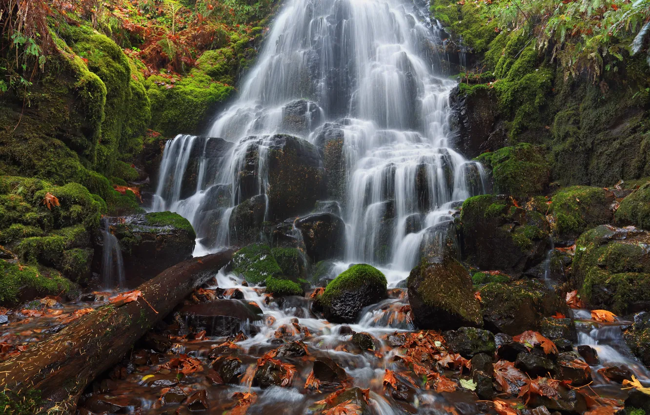 Photo wallpaper autumn, leaves, stones, waterfall, moss, Oregon, cascade, Oregon