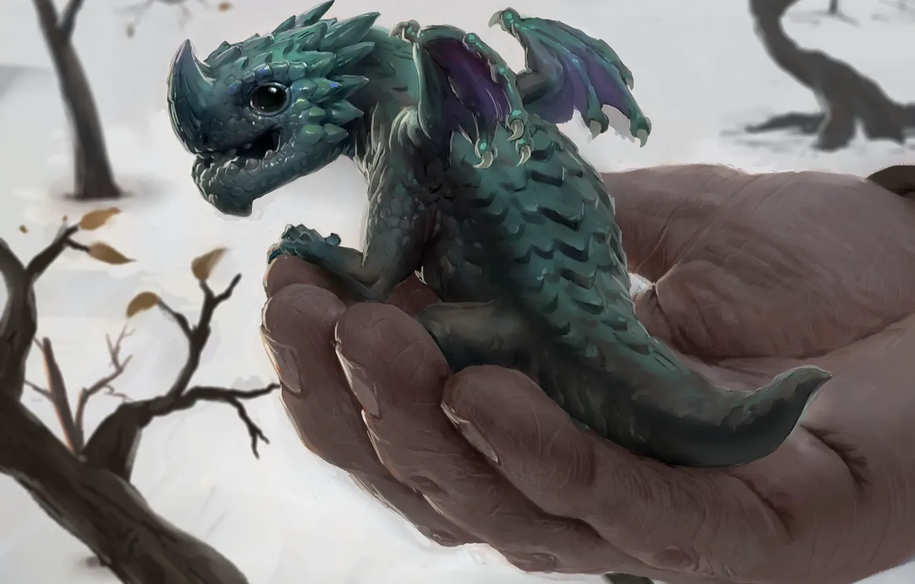 Photo wallpaper fantasy, kindness, hands, art, dragon, Peter Stapleton