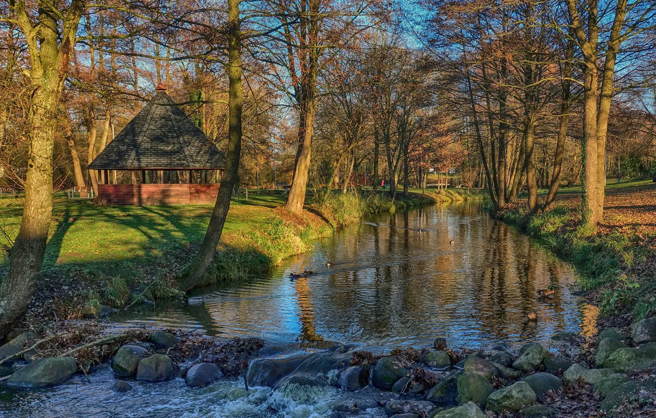 Photo wallpaper the sun, trees, Park, stream, stones, duck, Germany, gazebo