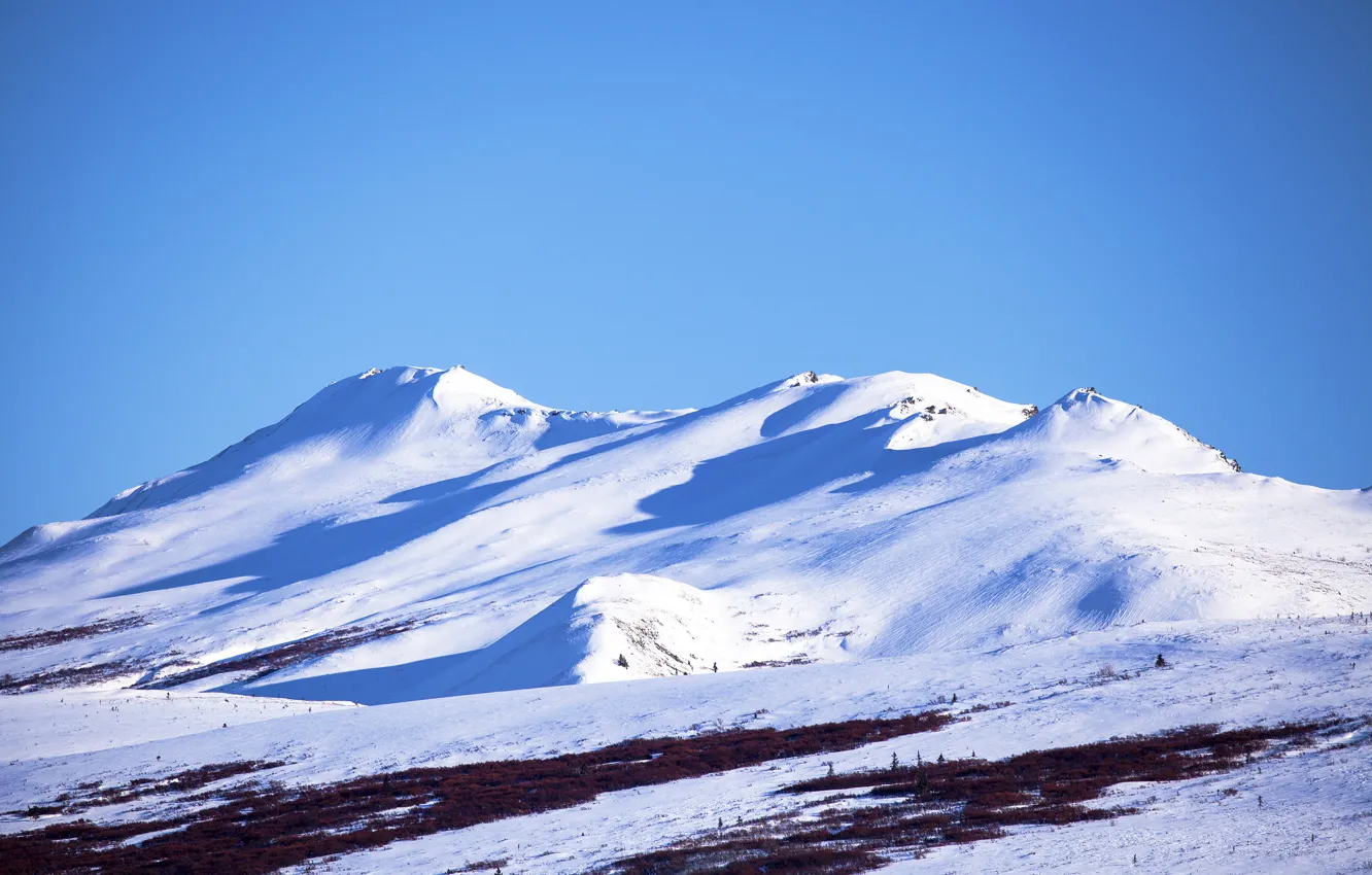 Photo wallpaper the sky, grass, snow, trees, mountains