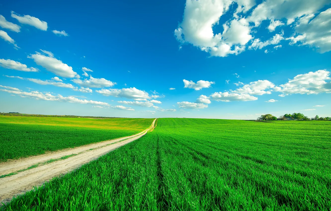 Photo wallpaper sky, field, way