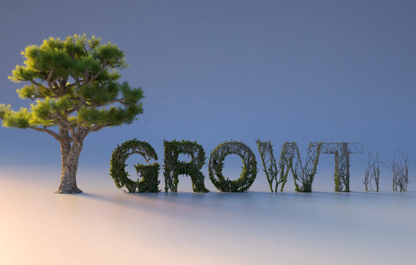 Photo wallpaper trees, closeup, growth