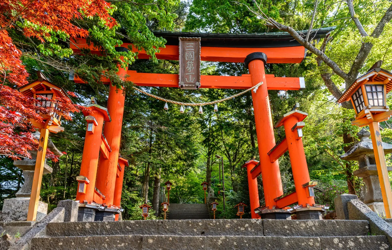 Photo wallpaper Japan, ladder, steps, torii