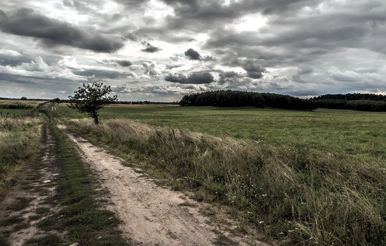 Photo wallpaper road, field, the sky