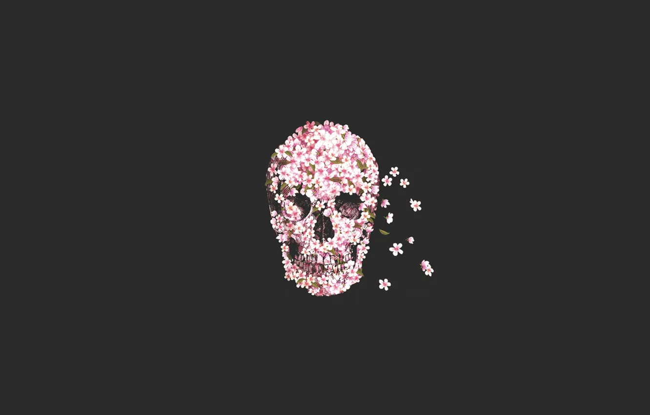 Photo wallpaper flowers, skull, sake, flower