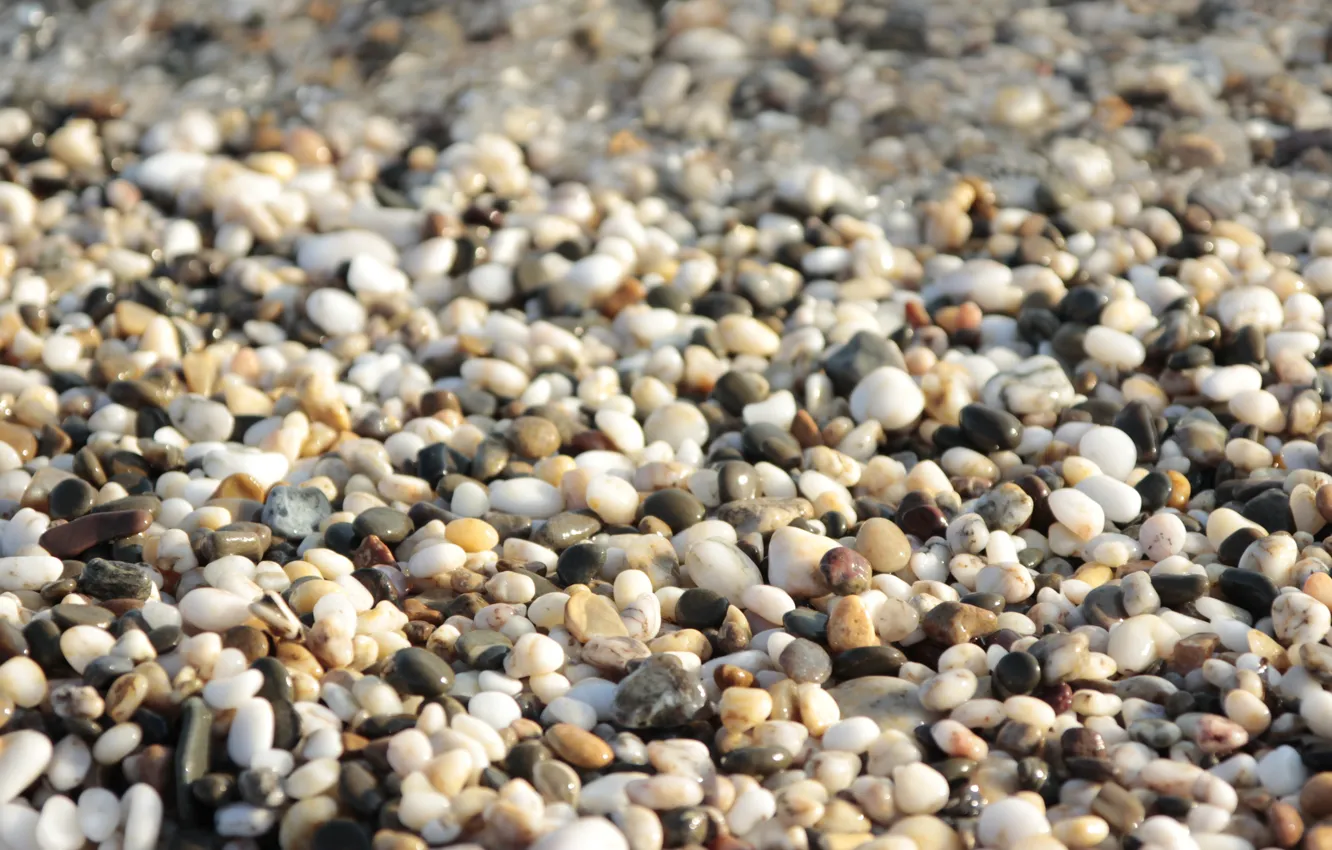 Photo wallpaper beach, pebbles, stones, background, shore, texture, white, wet