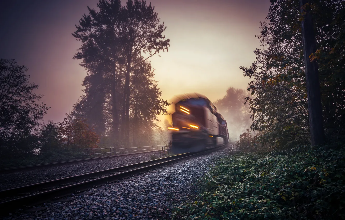 Photo wallpaper fog, train, morning