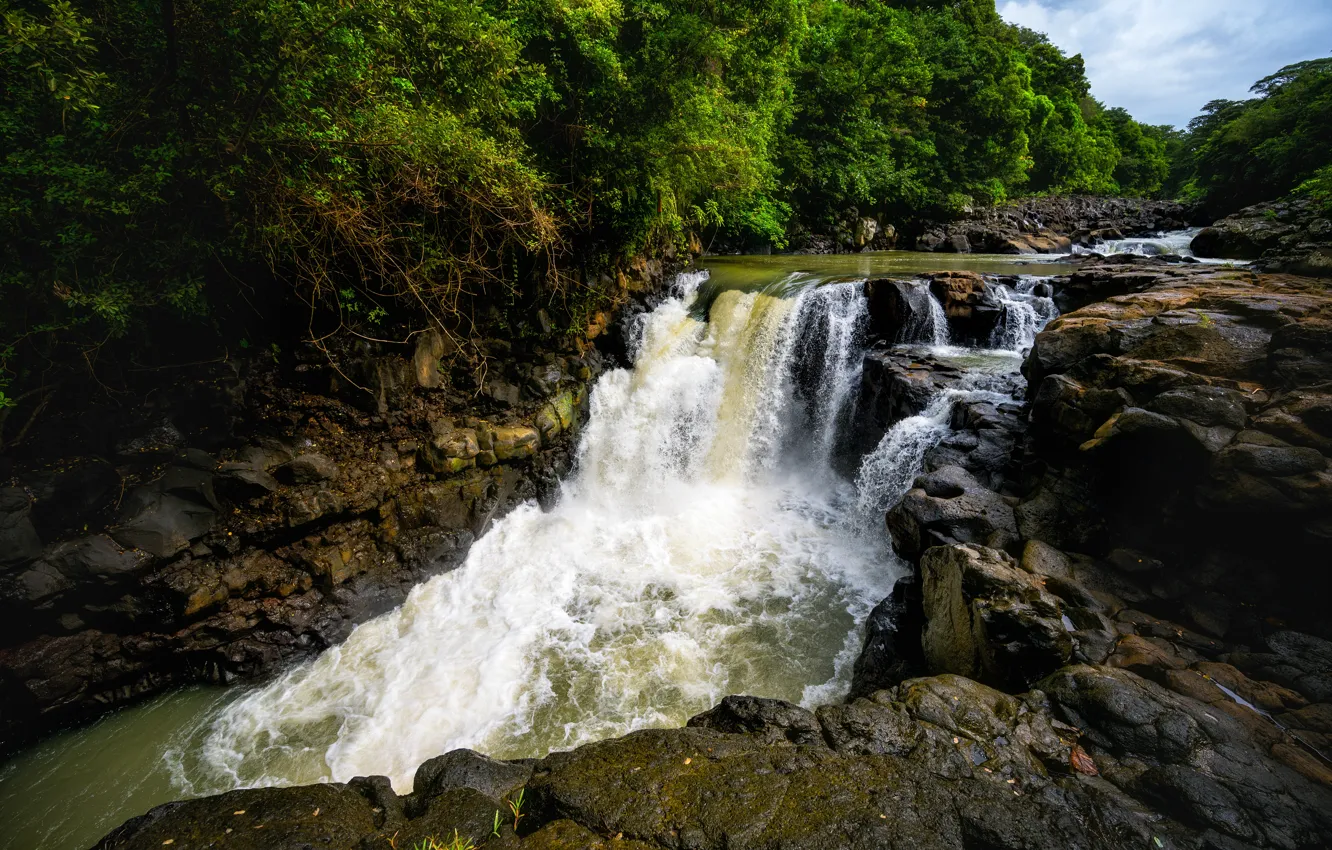 Photo wallpaper trees, rocks, waterfall, stream
