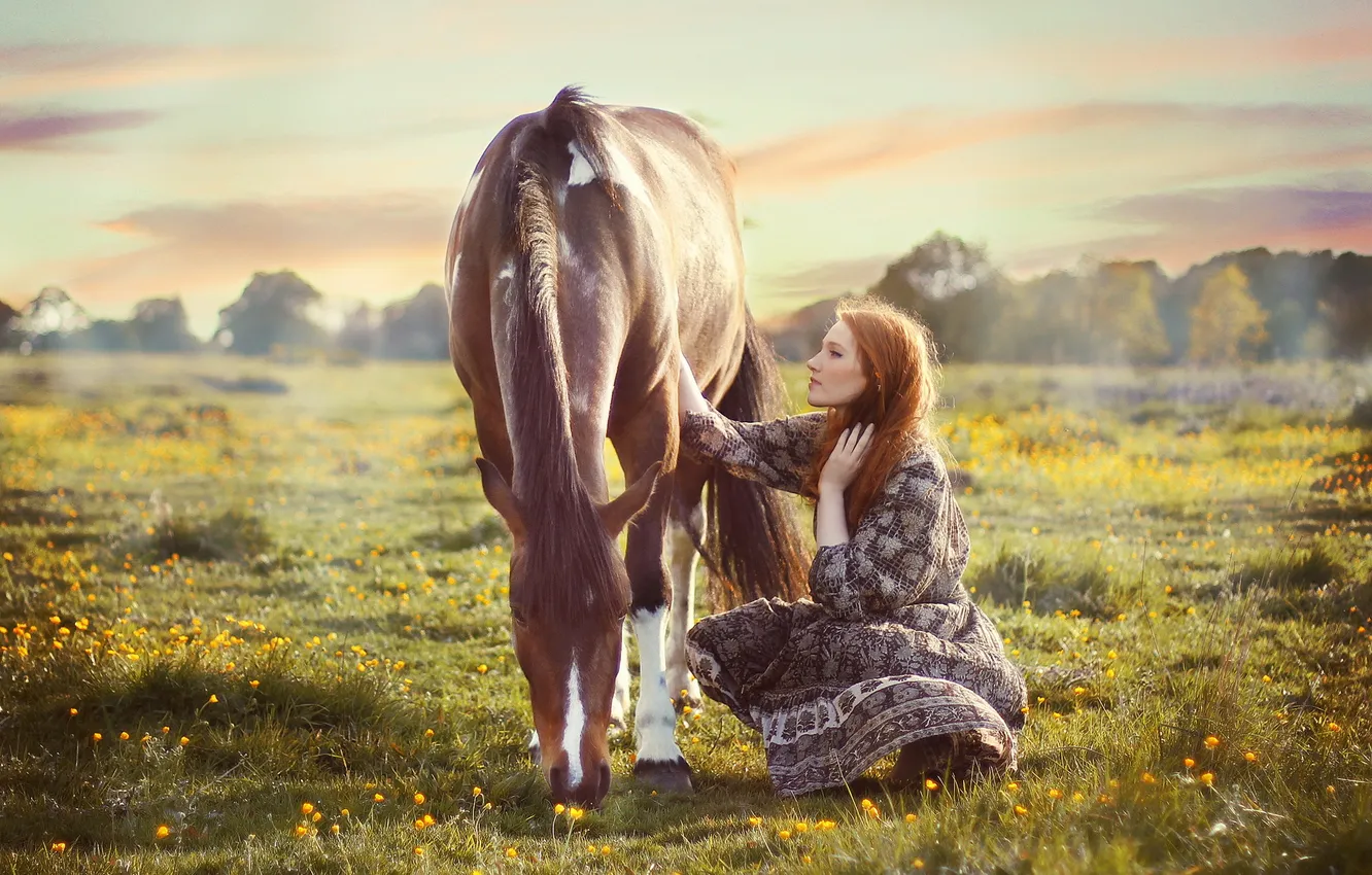 Photo wallpaper field, girl, horse