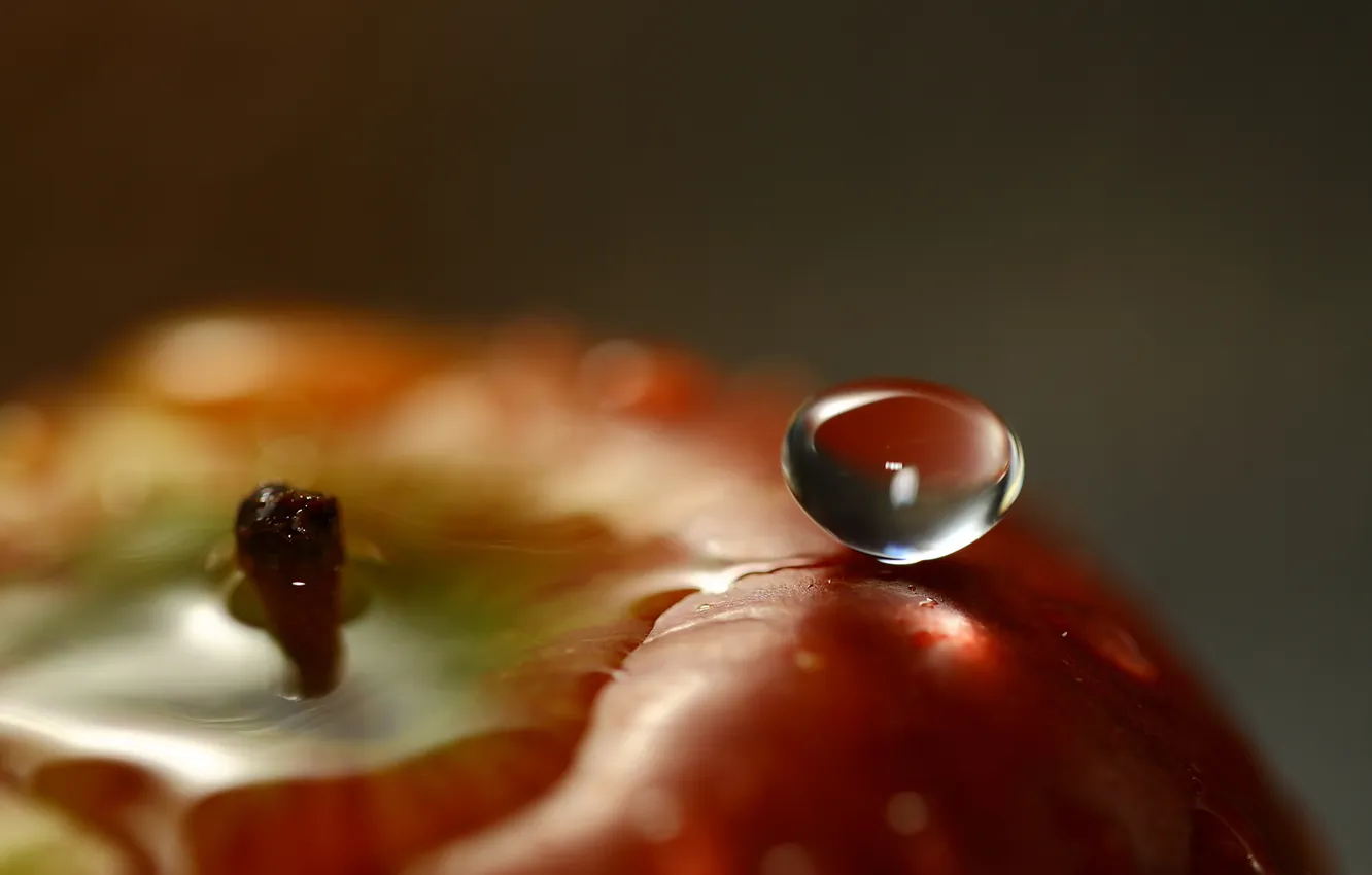Photo wallpaper water, drops, apples, focus, blur