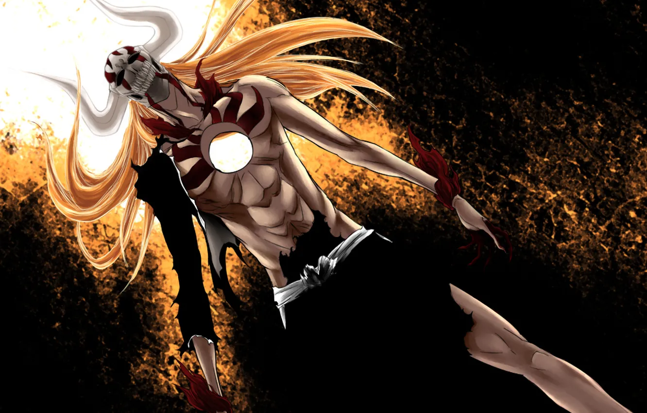 Photo wallpaper bleach, bleach, Ichigo, the arrancar, hollow ichigo