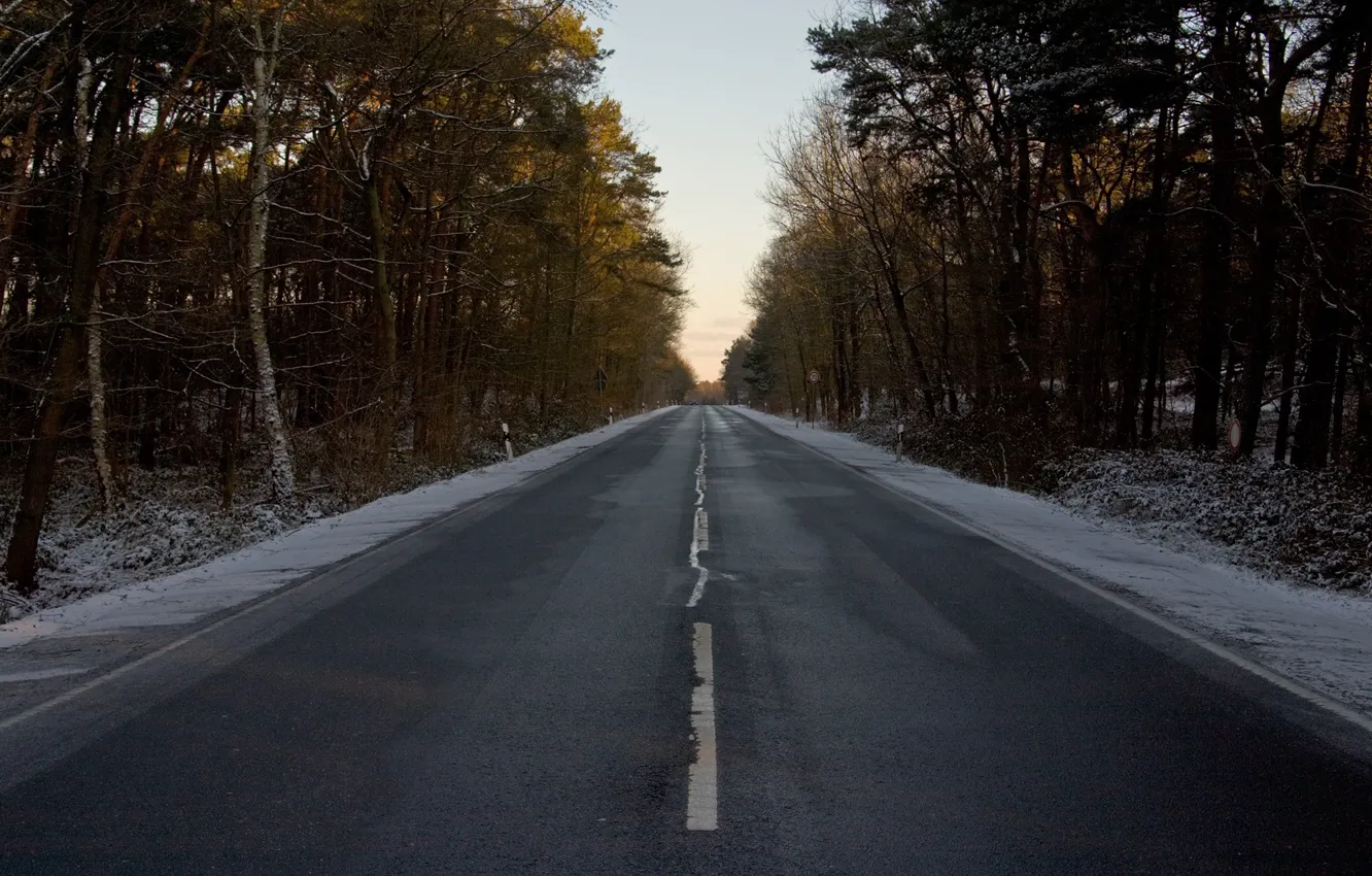 Photo wallpaper winter, road, forest, markup, sign