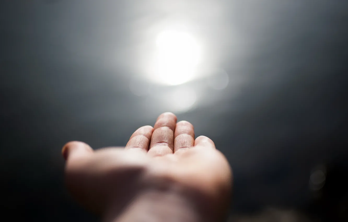 Photo wallpaper light, hands, palm, Into the light