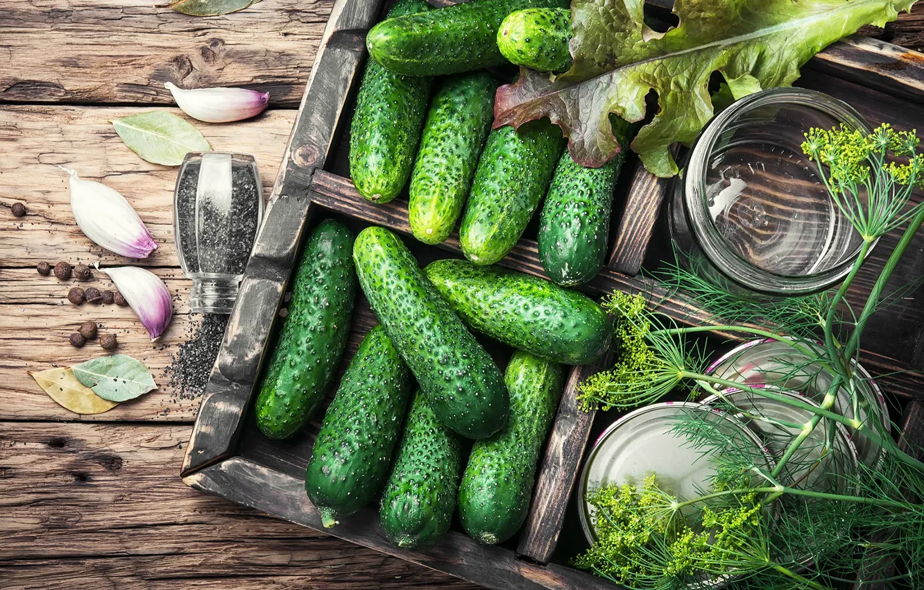 Photo wallpaper greens, Board, dill, vegetables, cucumbers, spices, garlic