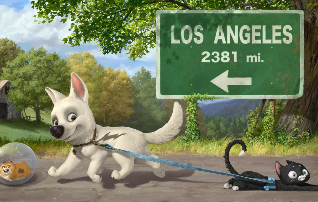 Photo wallpaper road, cat, dog, Volt, bolt