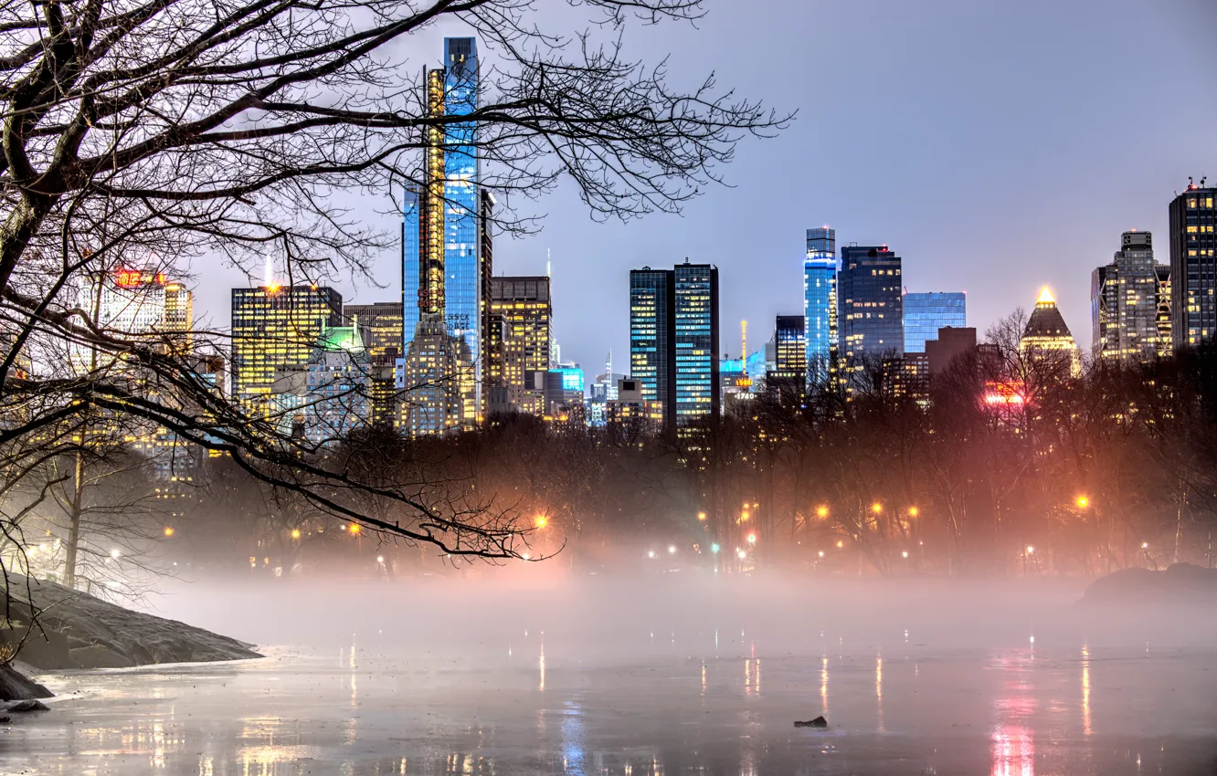 Photo wallpaper light, trees, branches, the city, lights, fog, shore, building