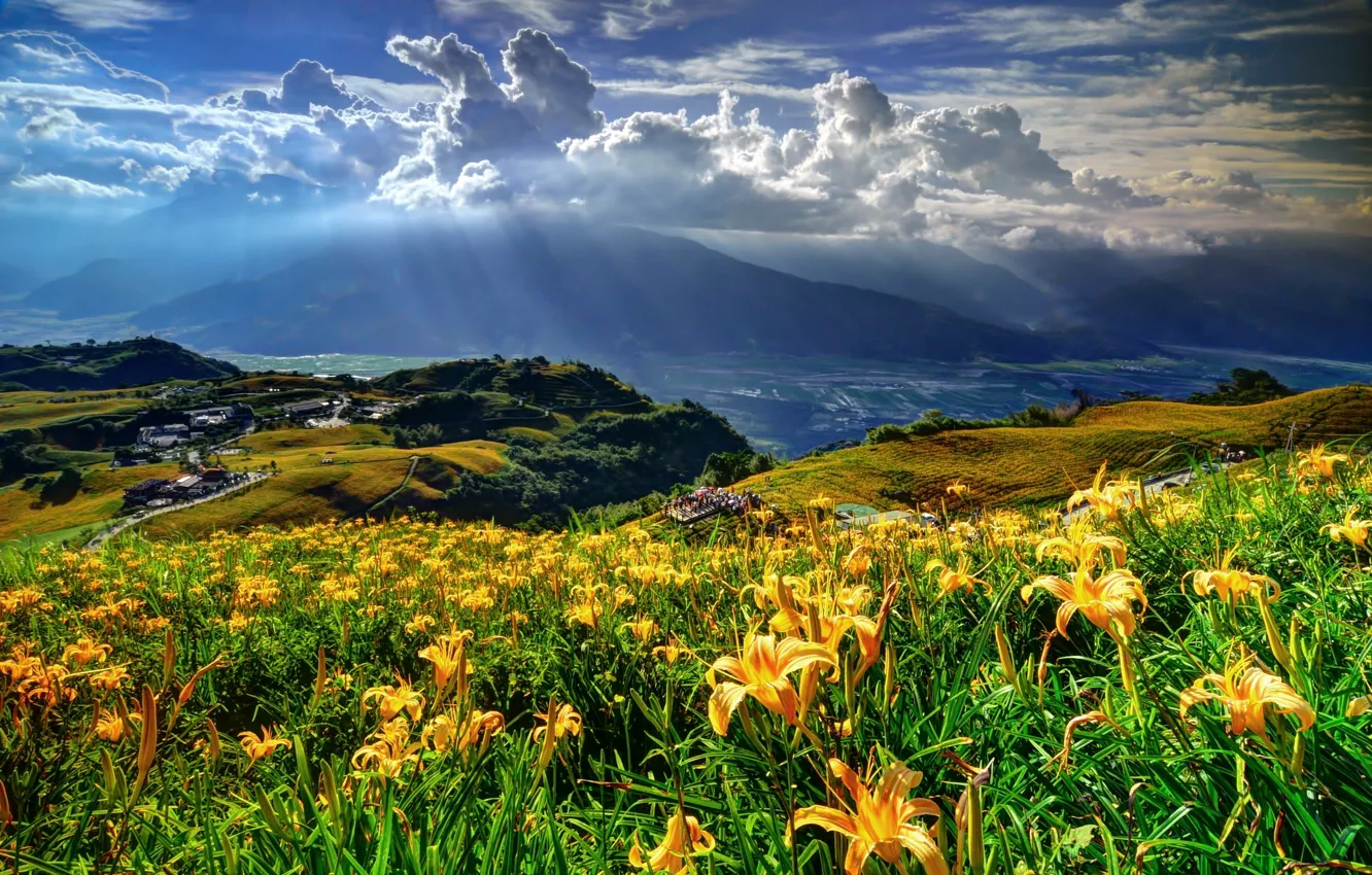Photo wallpaper light, flowers, mountains, landscape., odluka