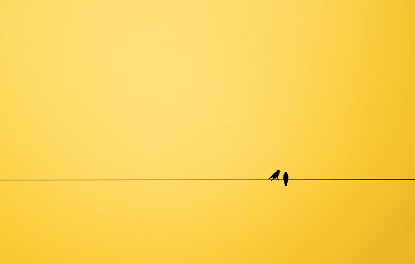 Photo wallpaper birds, background, minimalism