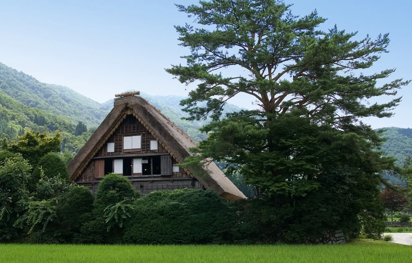 Photo wallpaper Greens, Nature, Tree, Mountains, House